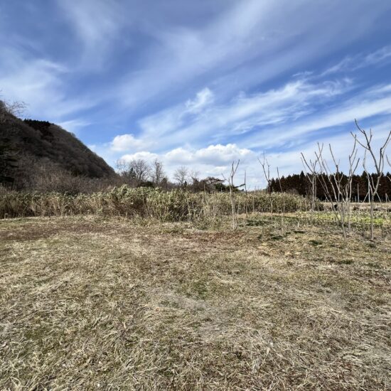 広～い敷地で資材置き場に最適です。